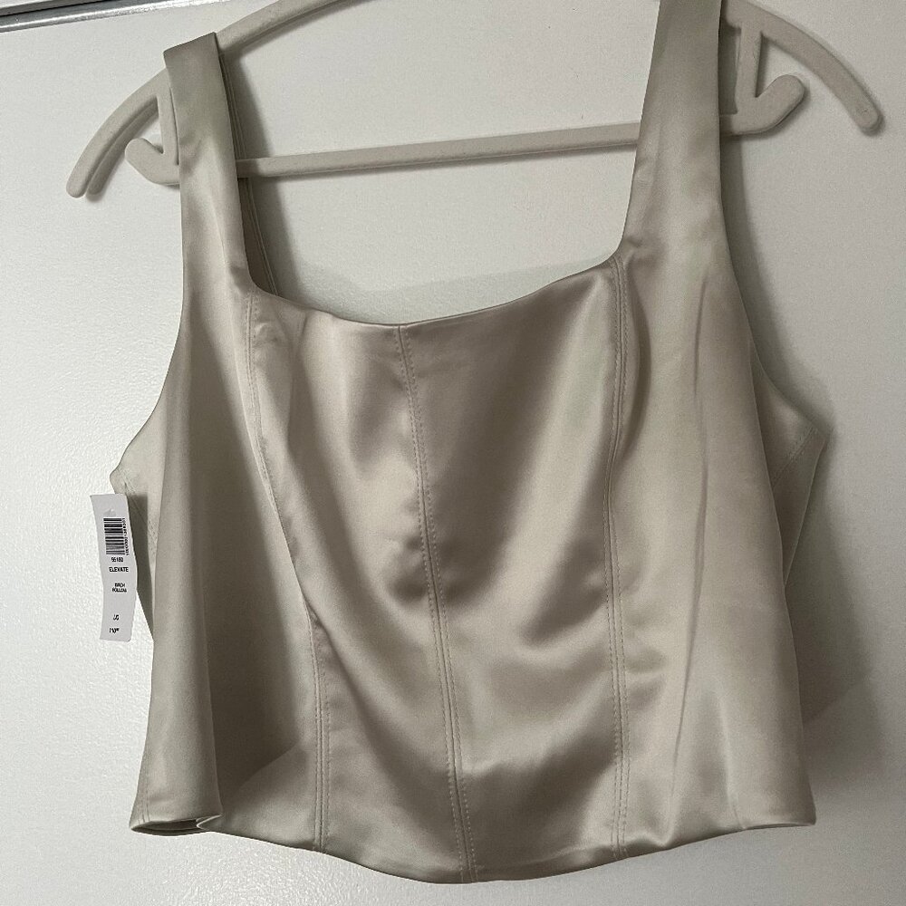 Aritzia Ten by Babaton (L) ELEVATE Square-neck Bustier Silver Princess Top